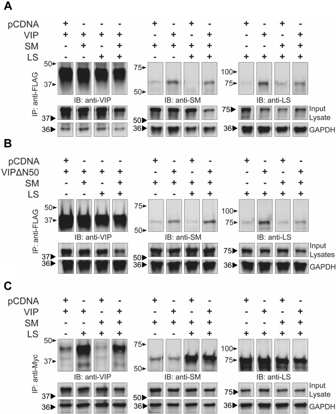 Figure 4