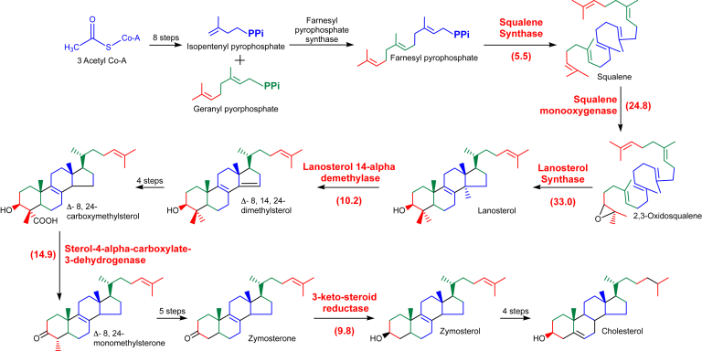 Figure 3