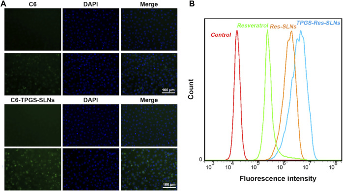 FIGURE 3