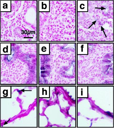 Fig 4.