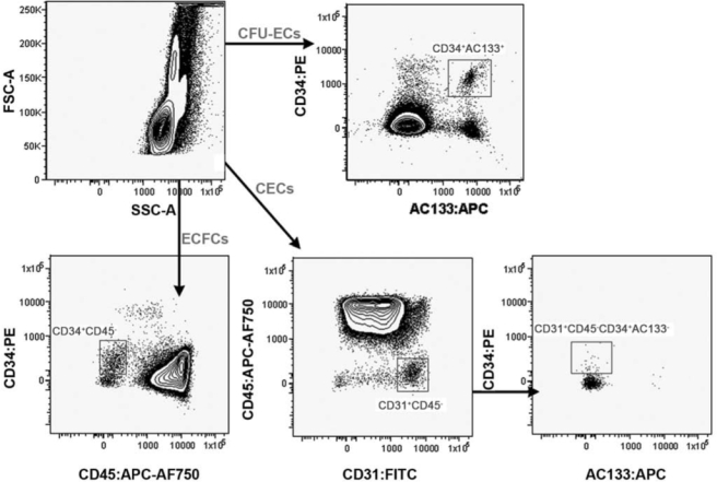 FIG. 3.