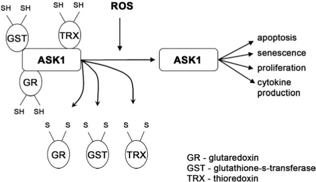 FIG. 7.