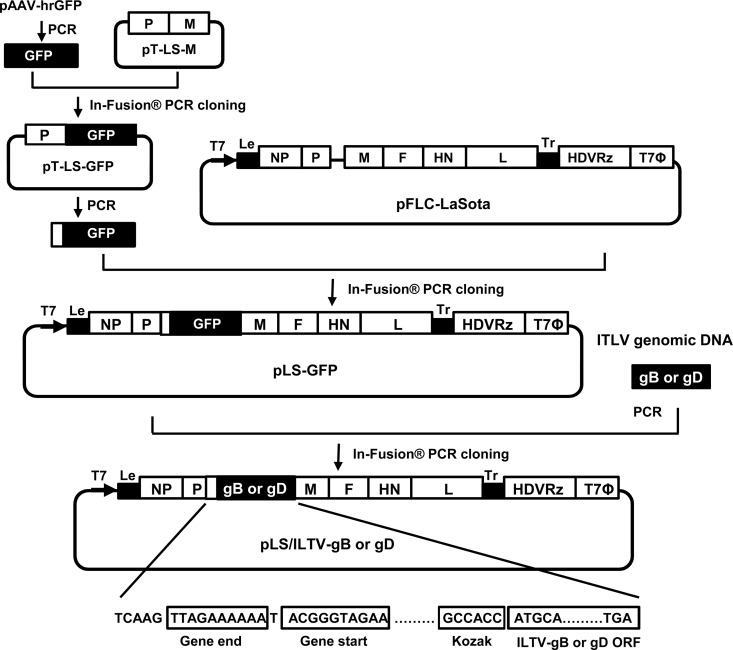 FIG 1