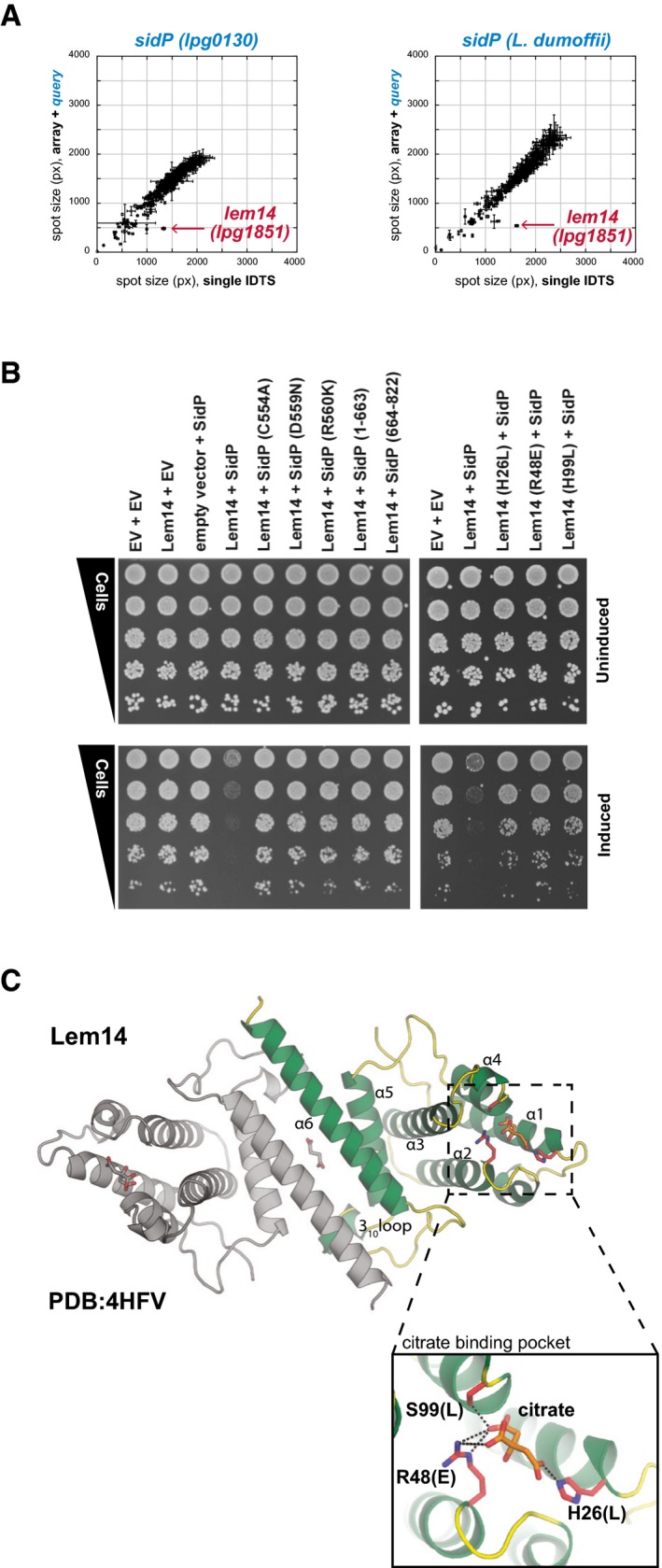 Figure 7