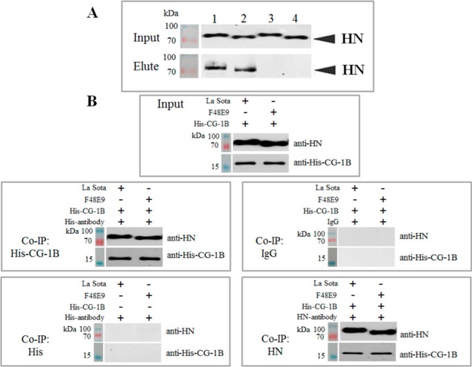 Figure 4.