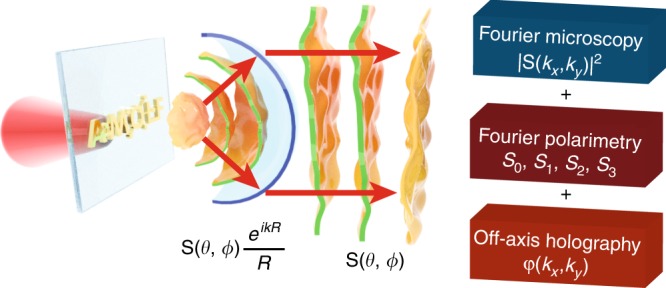 Fig. 1