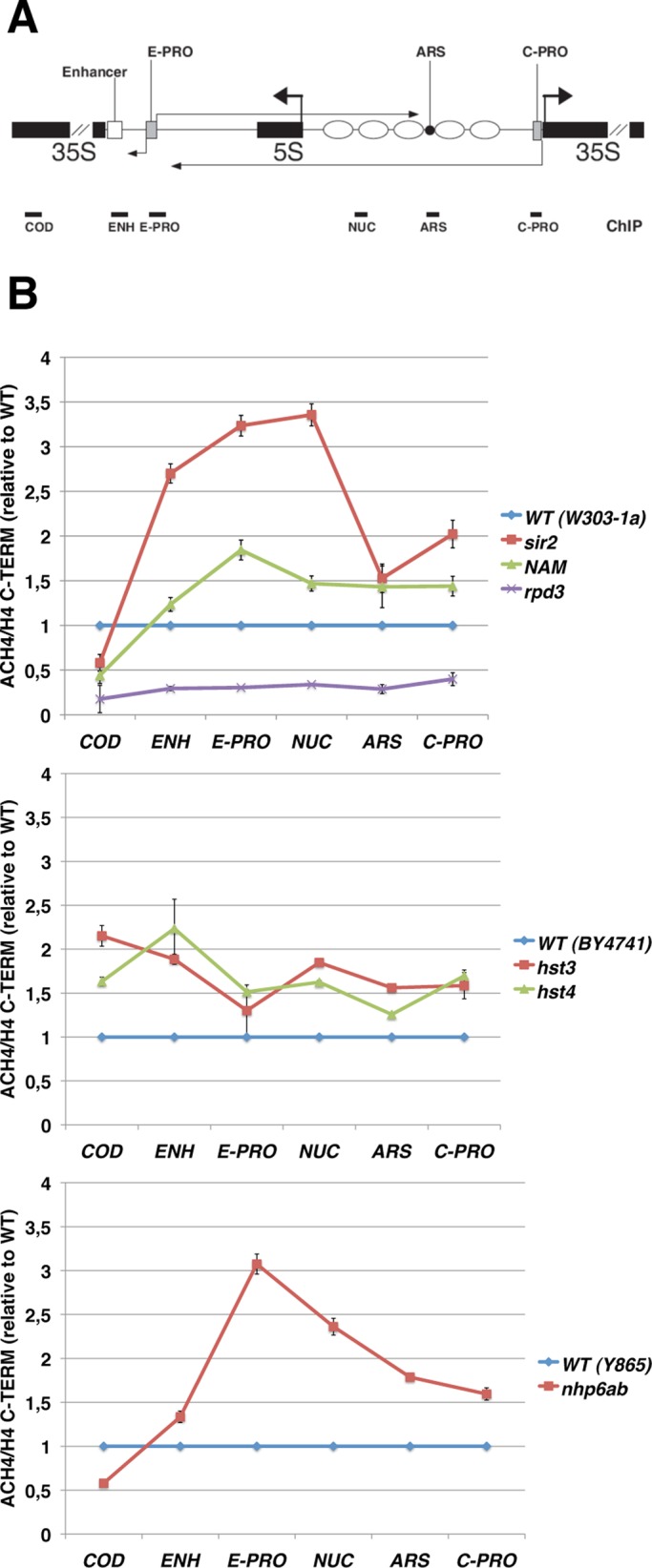 FIGURE 4: