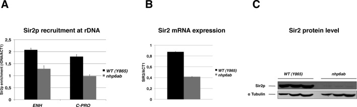 FIGURE 7: