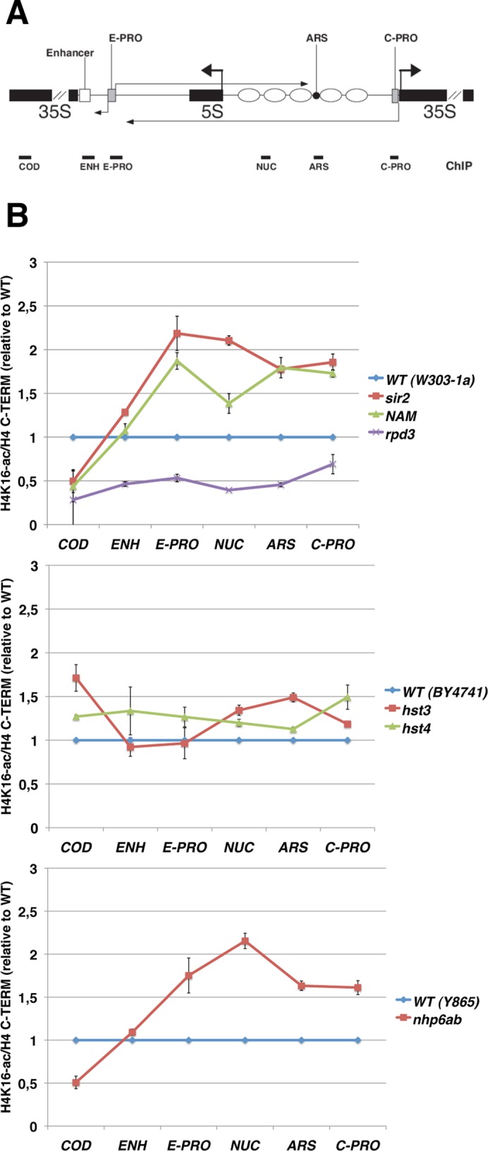 FIGURE 5: