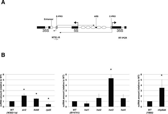 FIGURE 3: