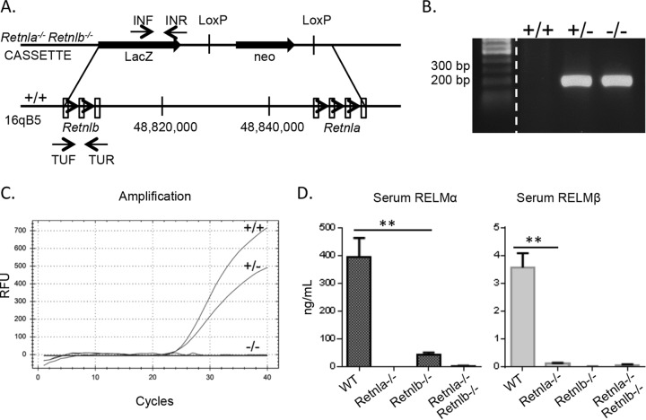 FIG 4