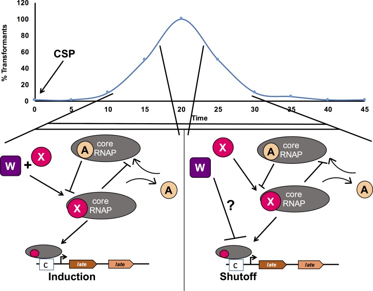 FIG 6