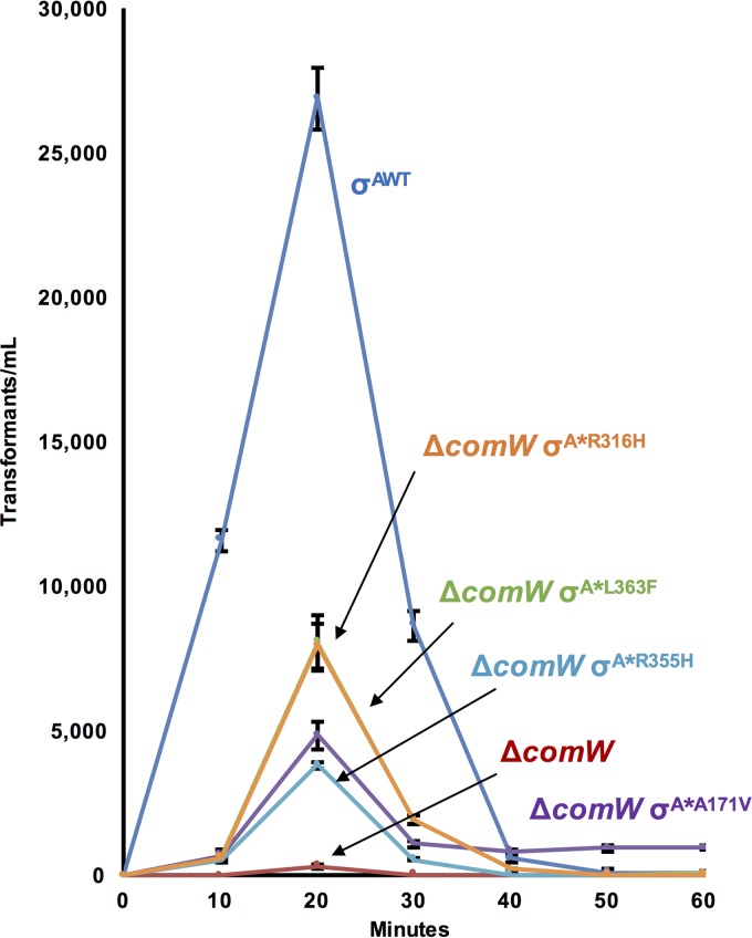 FIG 3