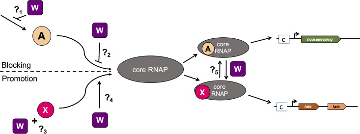 FIG 1