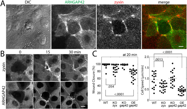 FIGURE 4: