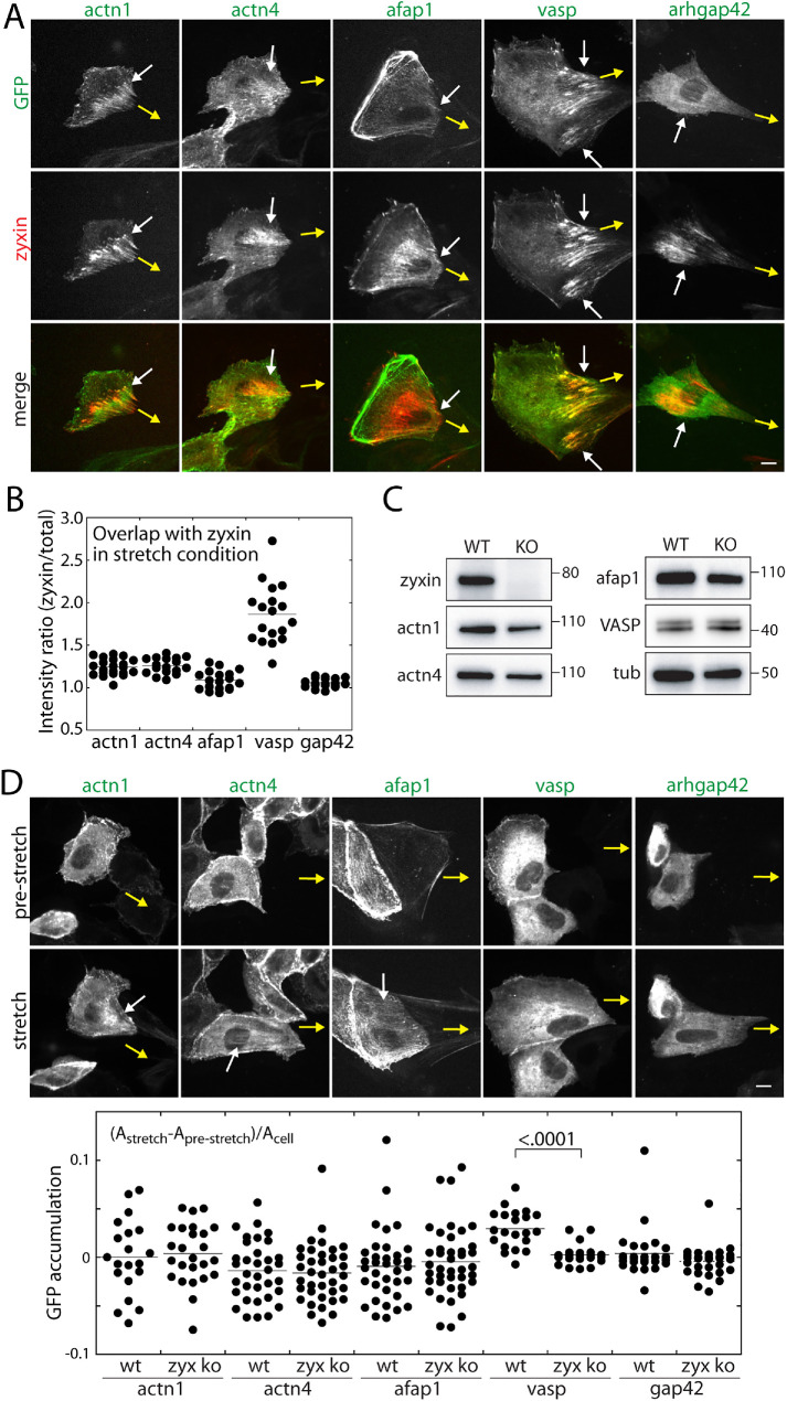 FIGURE 2: