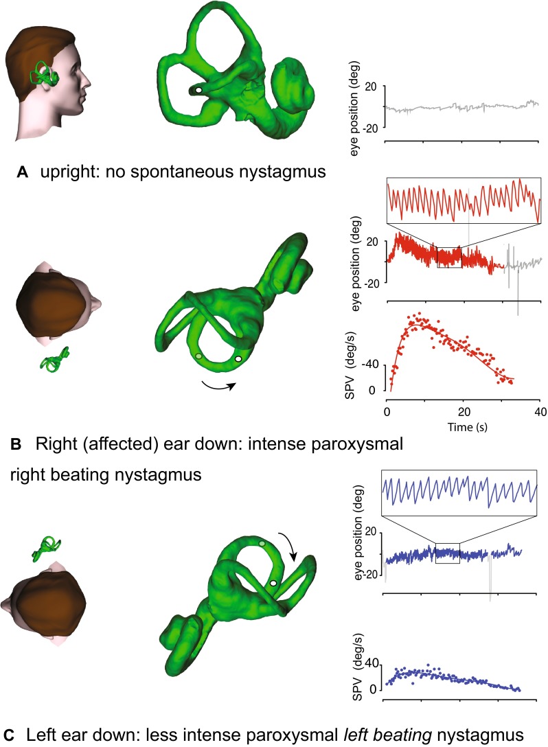 Fig. 2