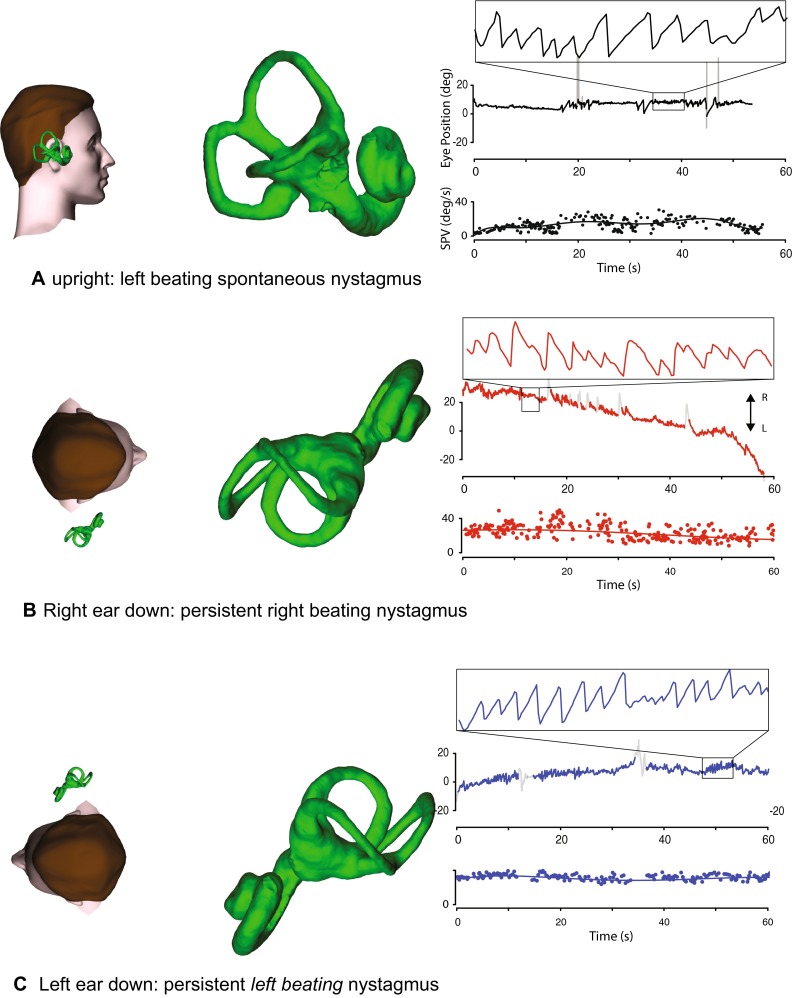 Fig. 4