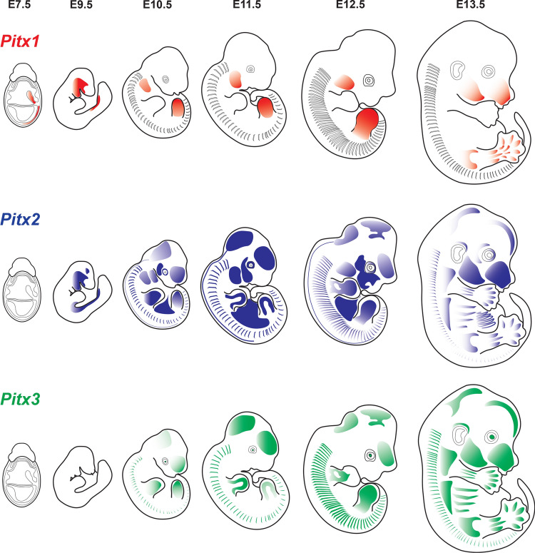 Fig. 3