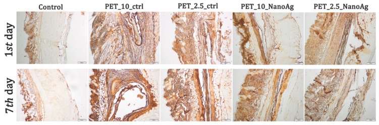 Figure 15