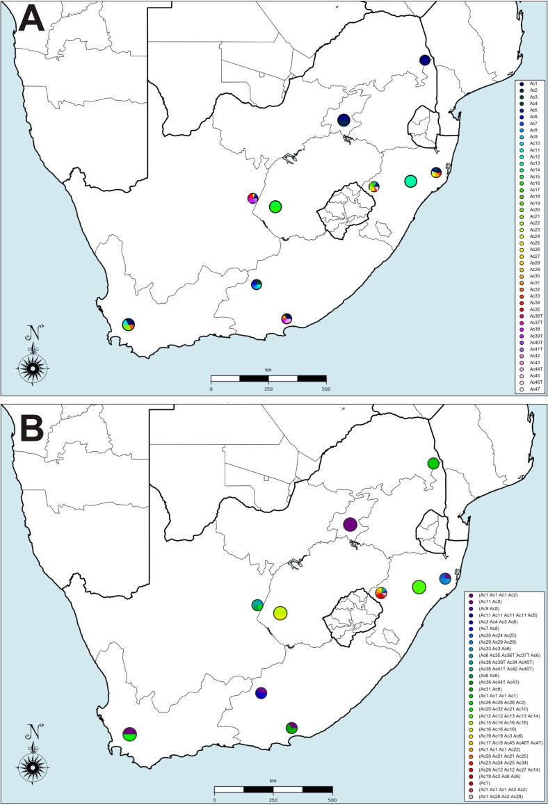 FIG 6