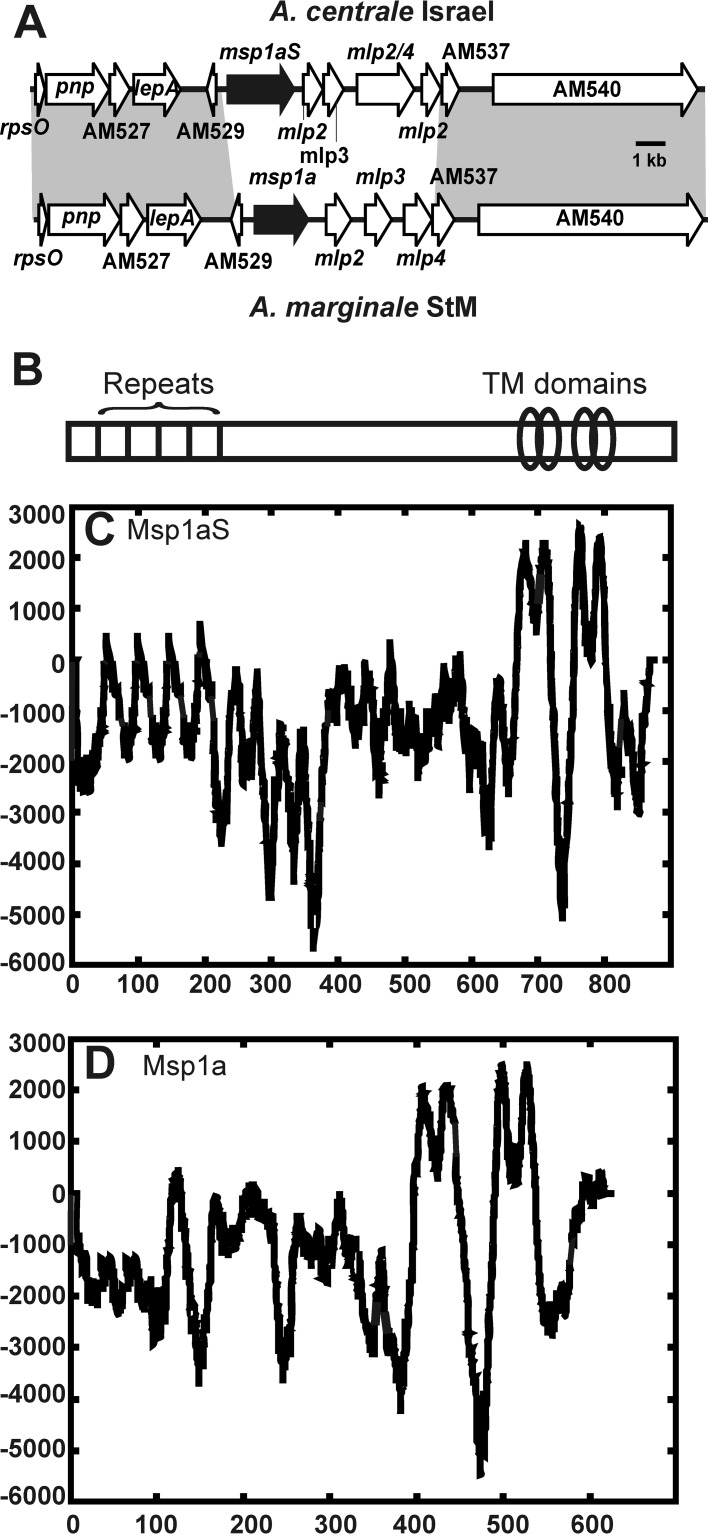 FIG 1