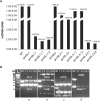 Fig. 4.