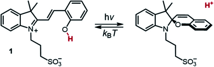 Scheme 1