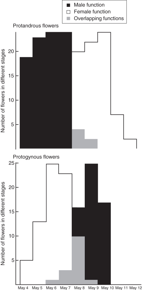 Fig. 6.