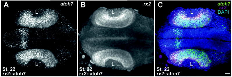 Supplementary Fig. 1