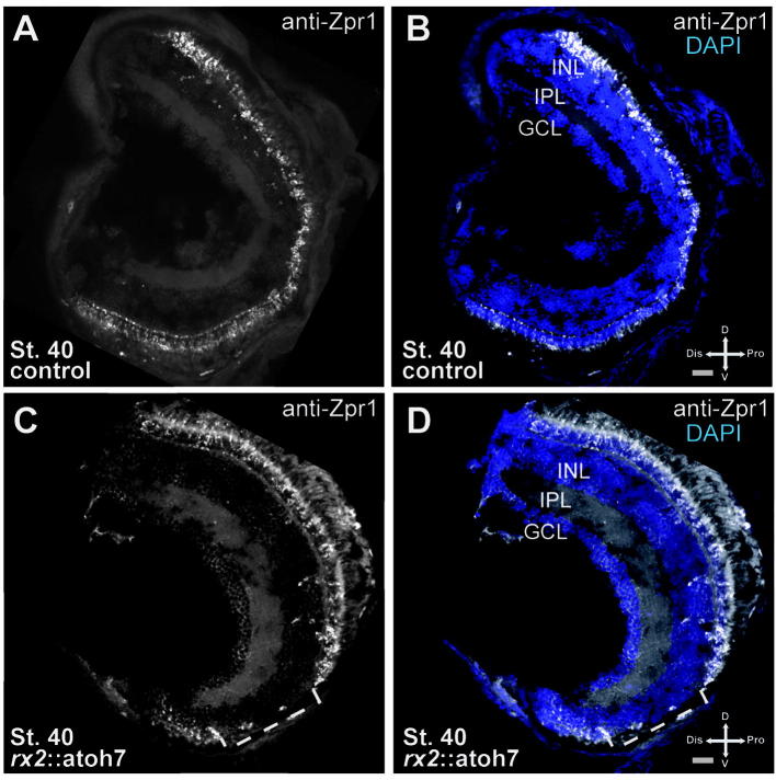 Supplementary Fig. 3