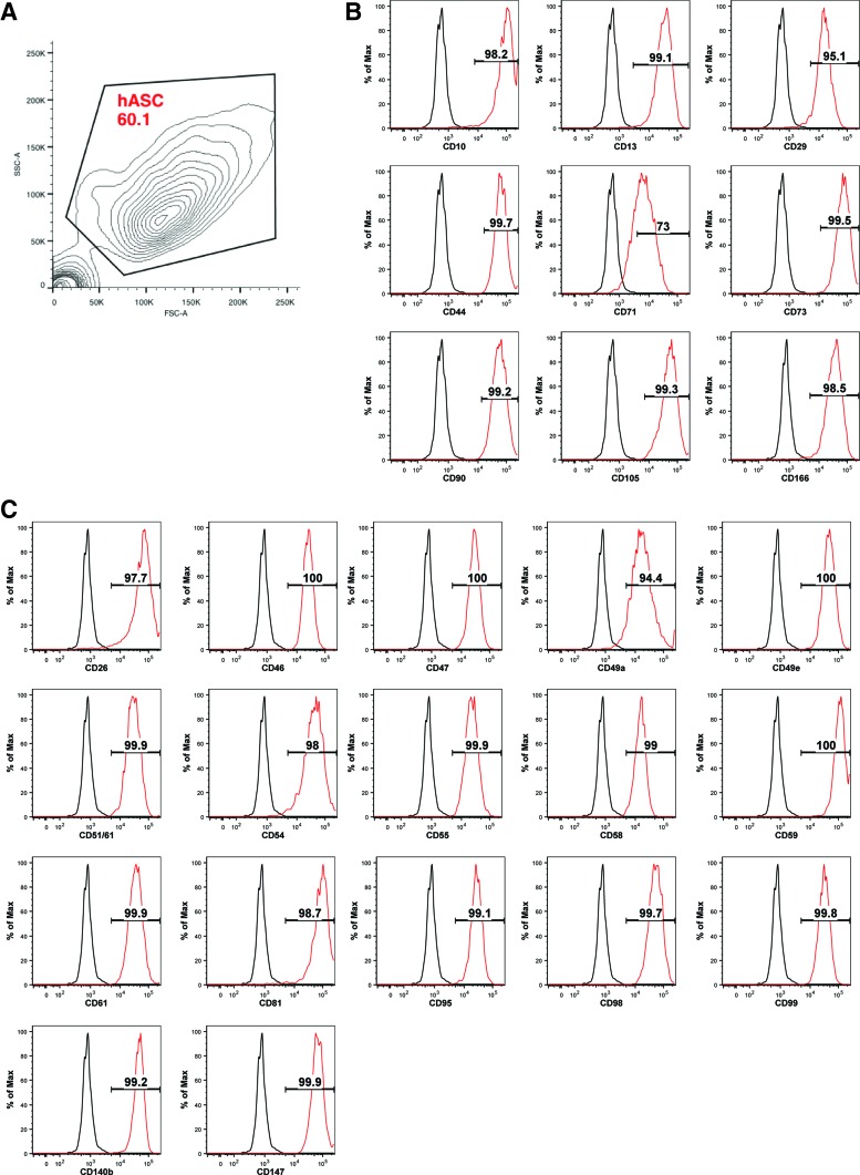 FIG. 2.