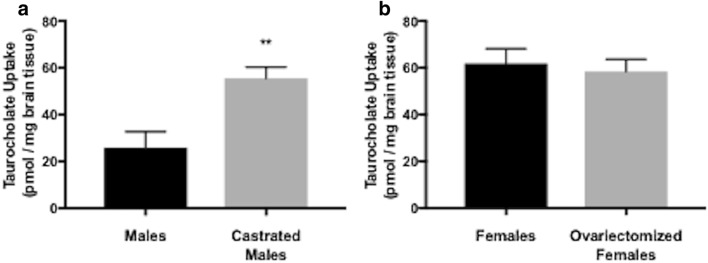 Fig. 7