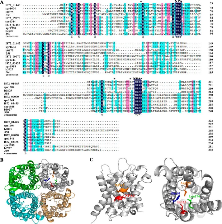 Figure 3.