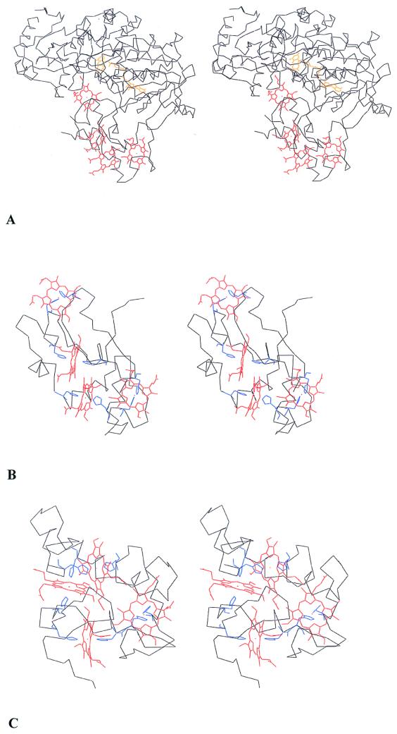 FIG. 4