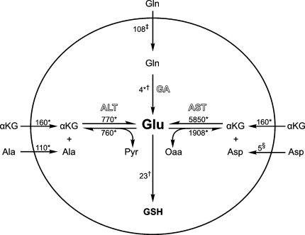 Fig. 6