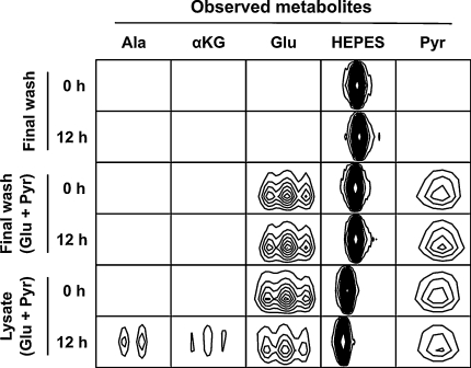 Fig. 4