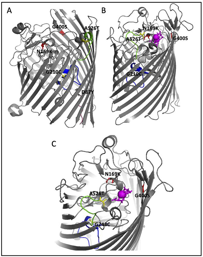 Figure 4.