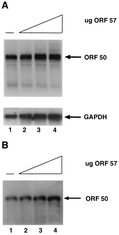 FIG. 7