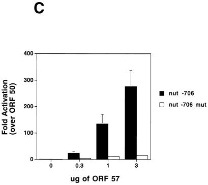 FIG. 6