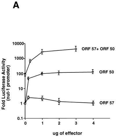 FIG. 6