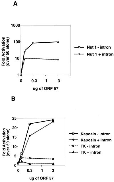 FIG. 8