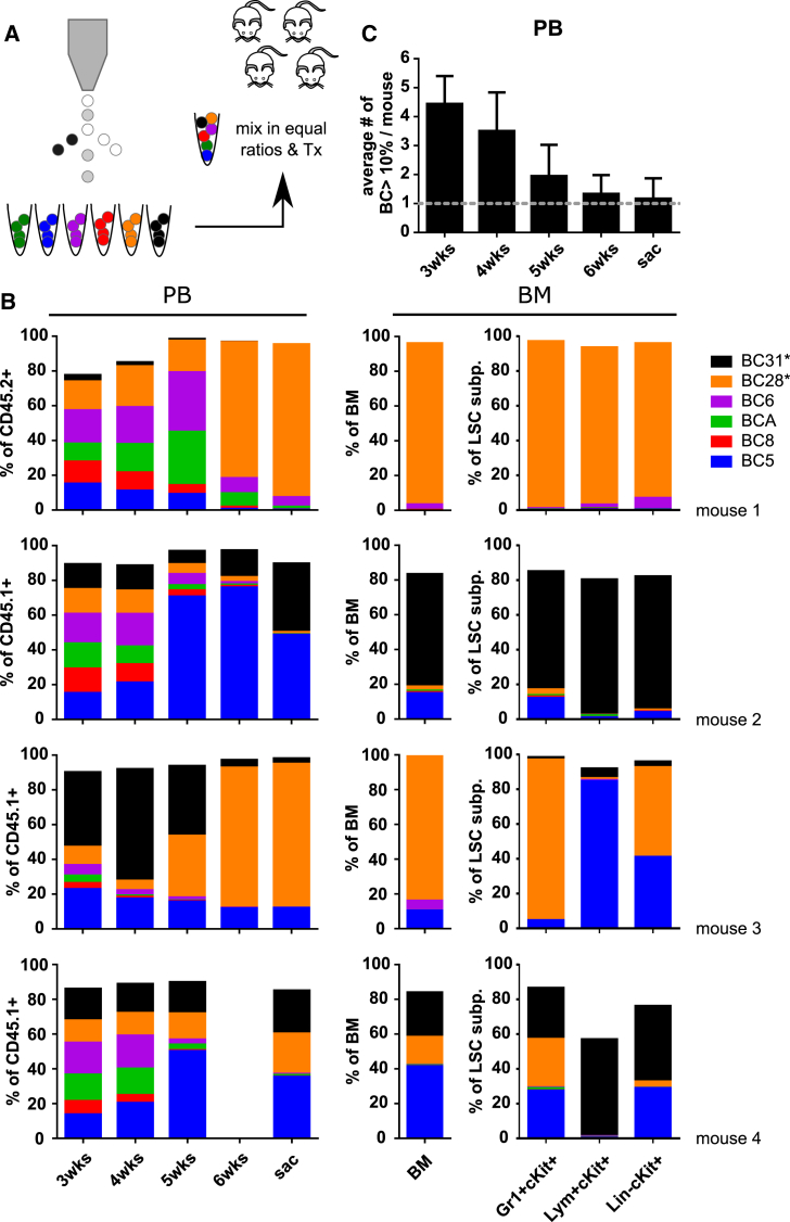 Figure 3