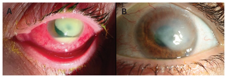 Figure 1: