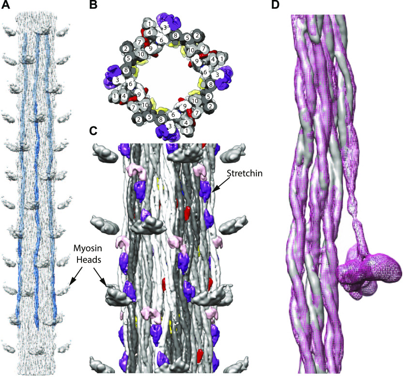 Figure 3.