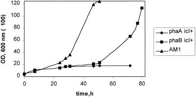 FIG. 6