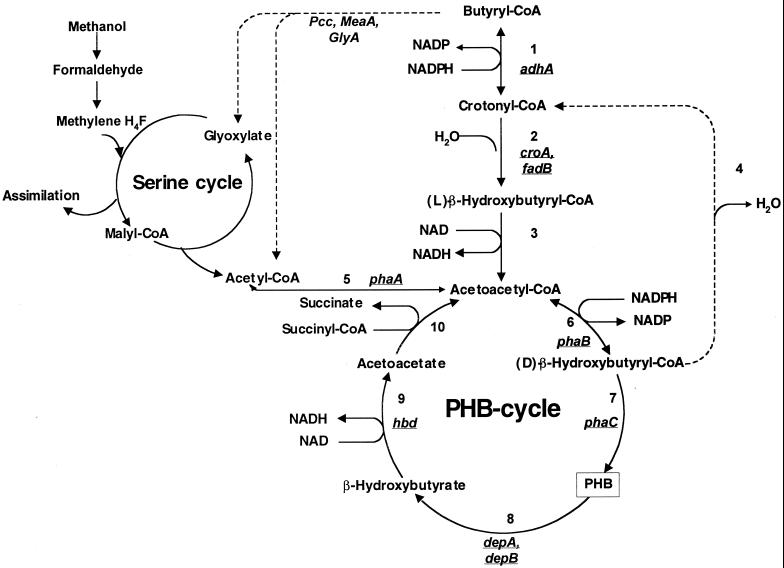 FIG. 1