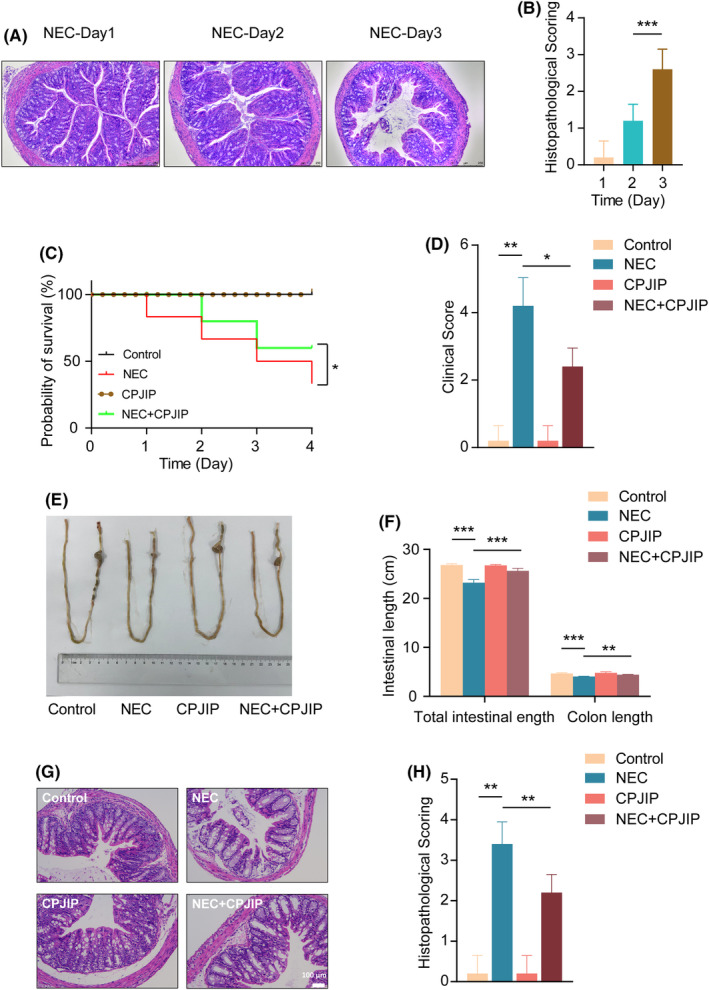 FIGURE 3