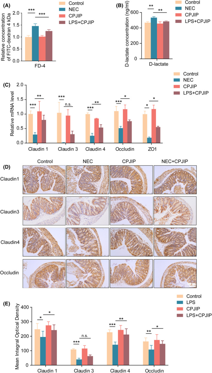 FIGURE 4