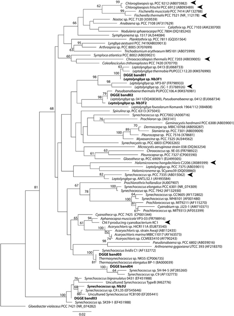 Figure 5